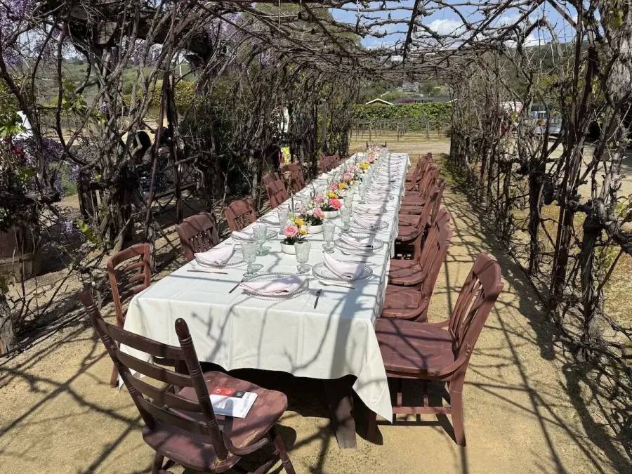 Vineyard long table lined with bud vase arrangements between simple settings and vine rows — centerpiece design for Saratoga catering hillside weddings
